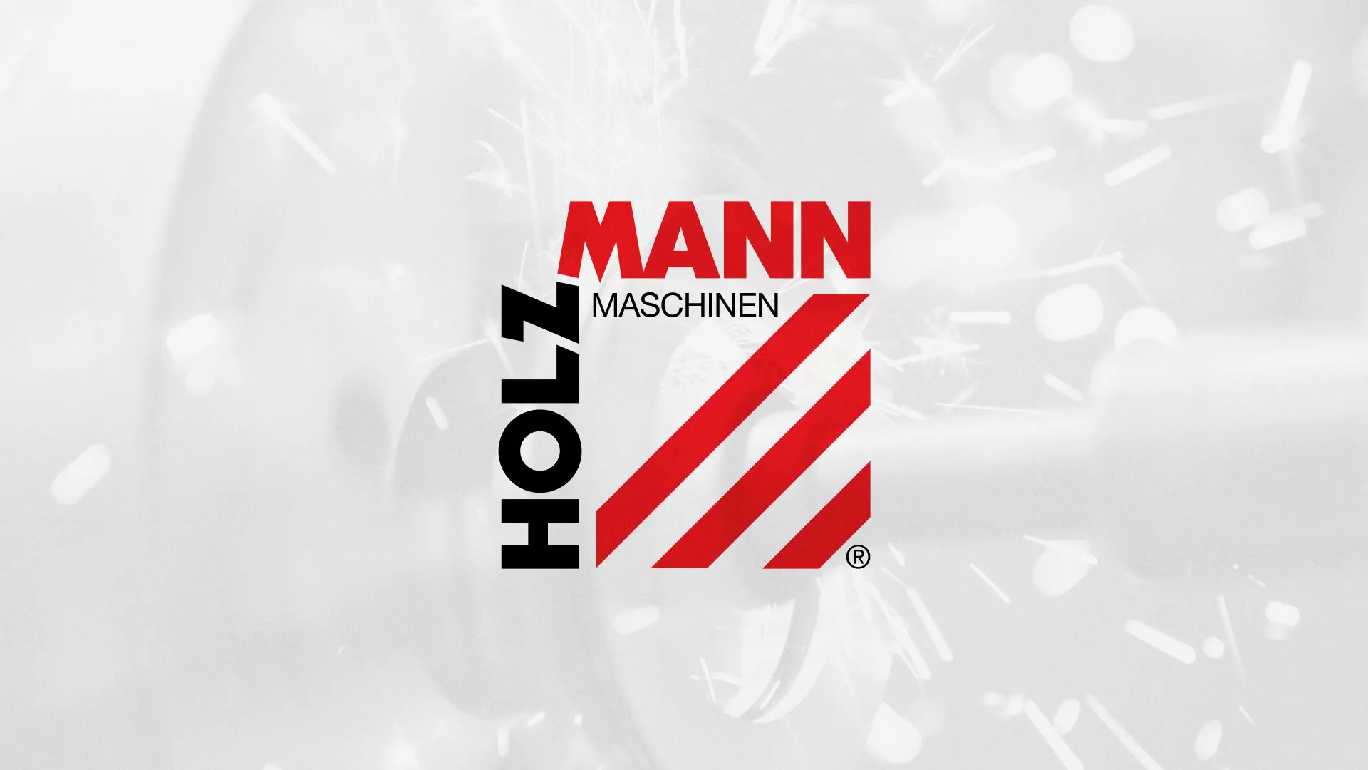 Создание сайта компании «HOLZMANN Maschinen GmbH» в Нелидово